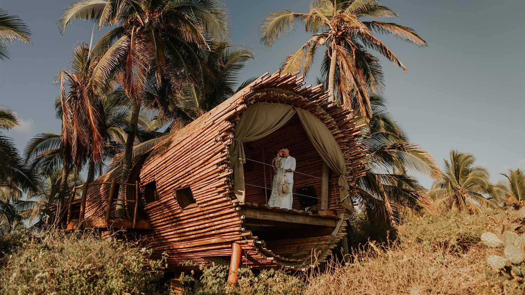 Person standing in a woven hut doorway in a tropical palm grove, with a ladder leaning outside.