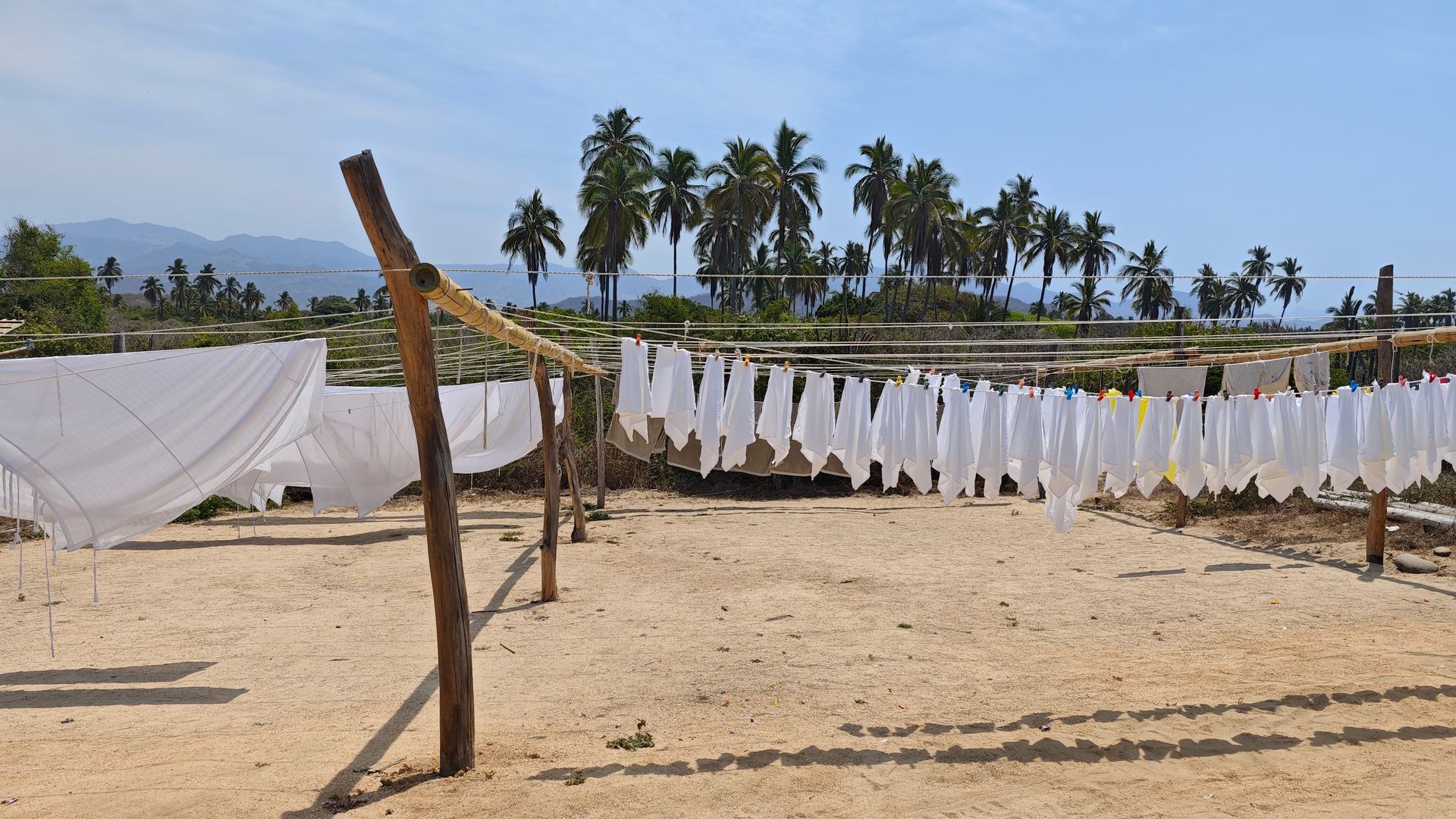 Clothes drying on lines at a sandy beach with palm trees and a bright blue sky