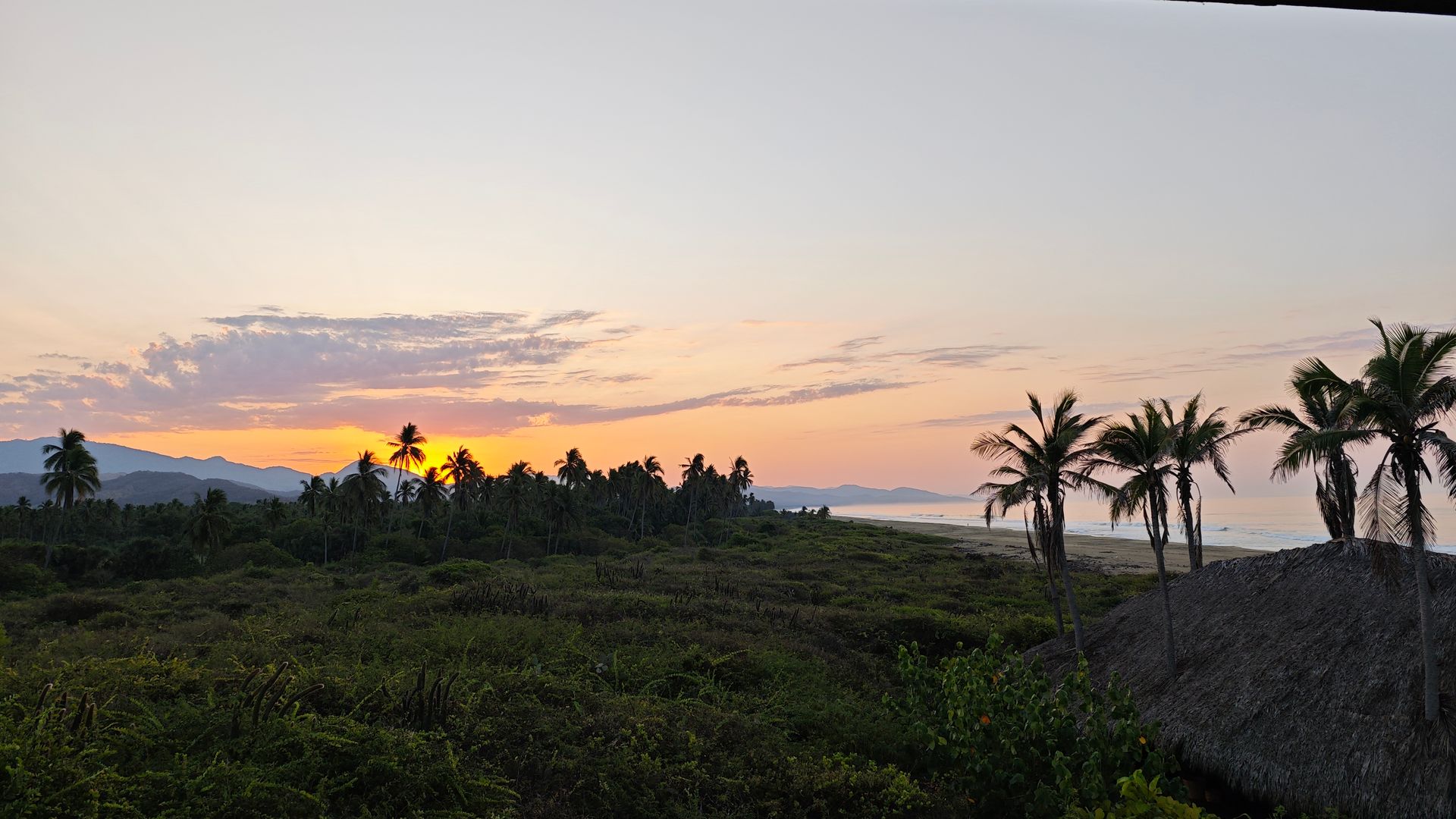sunrise overlooking the beach and mangroves
