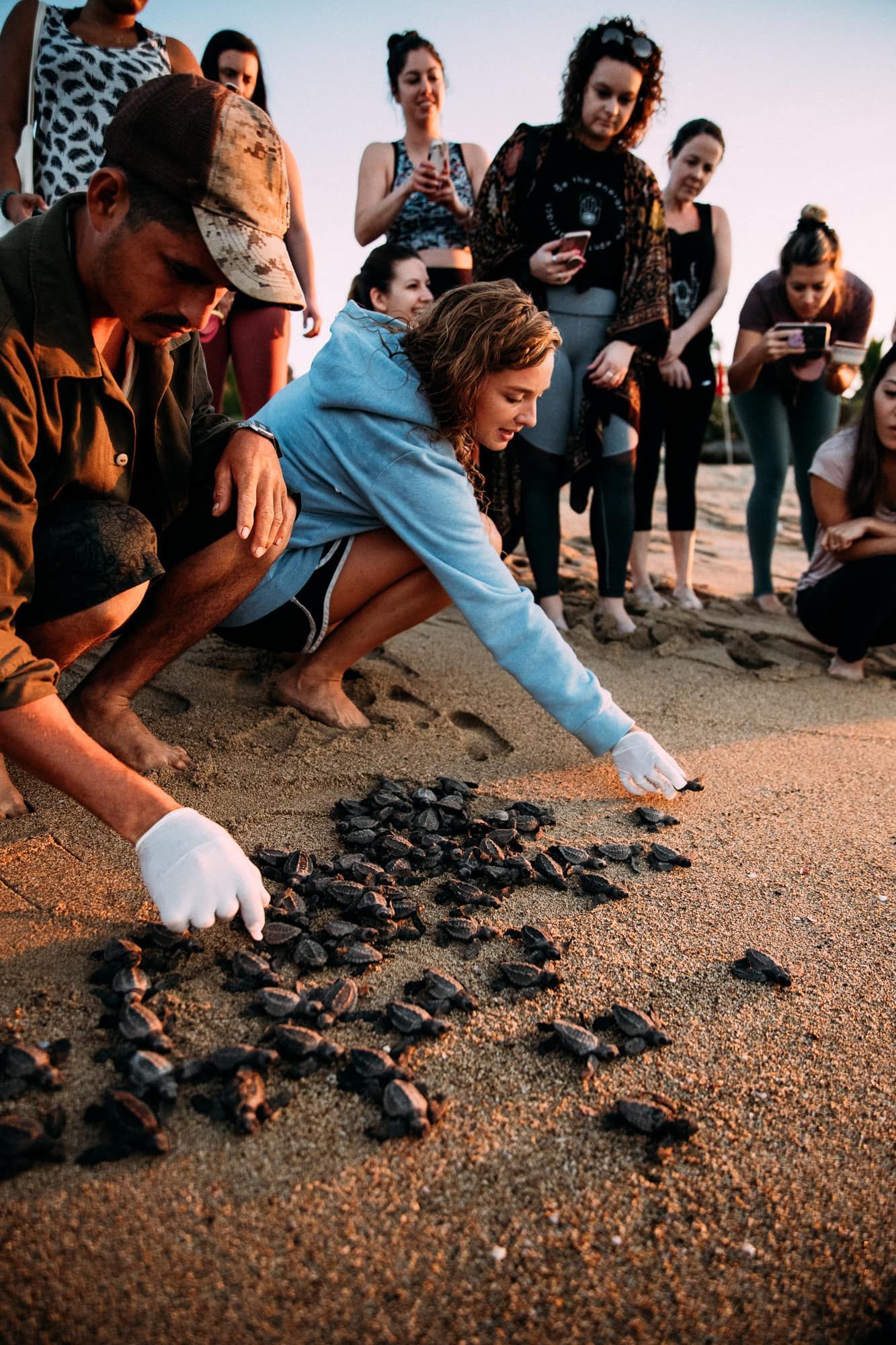 People crouch and sort dozens of small dark hatchlings on a sandy beach at sunset.