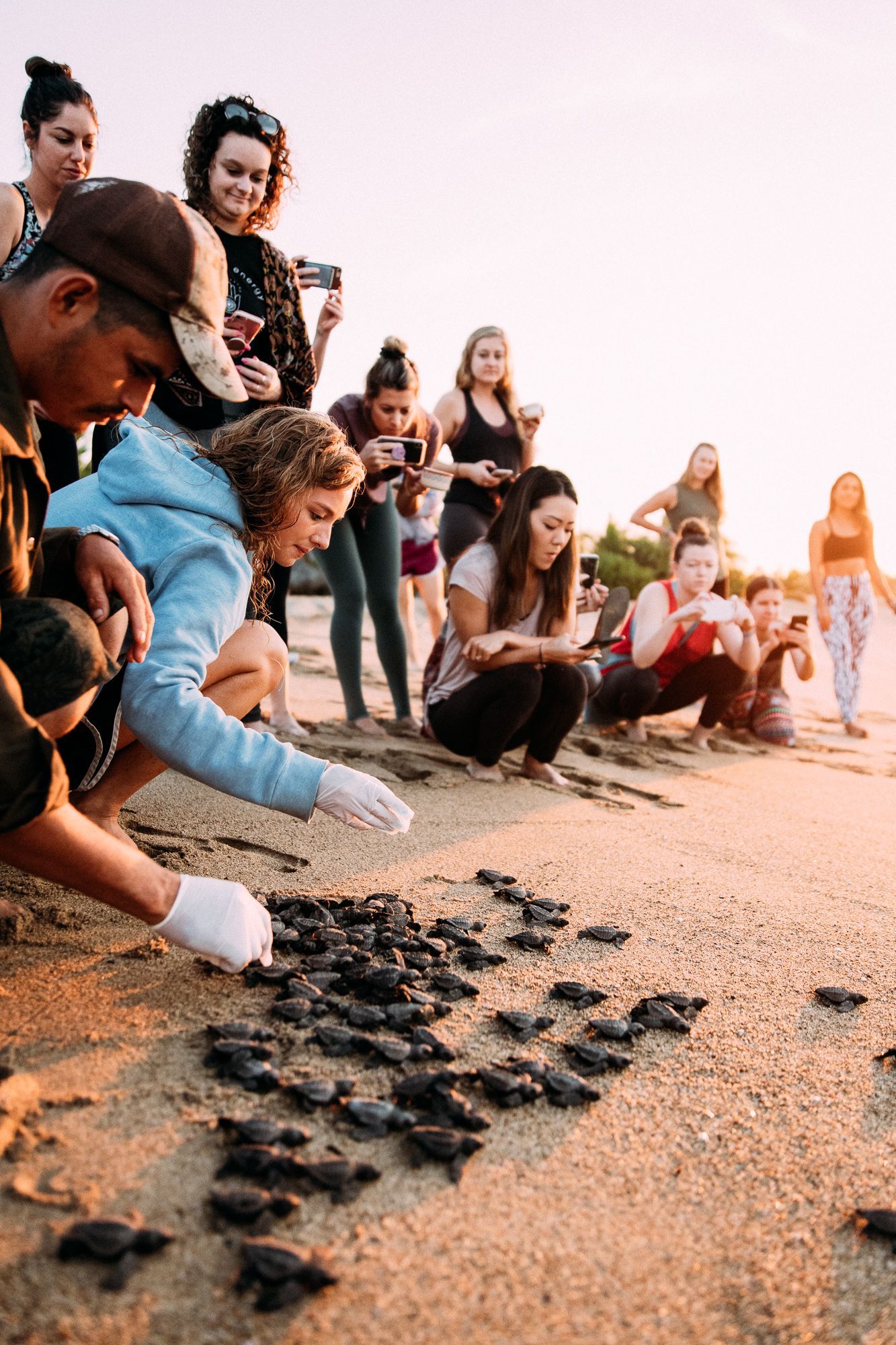 People kneel and plant seeds in sandy soil outdoors at sunset