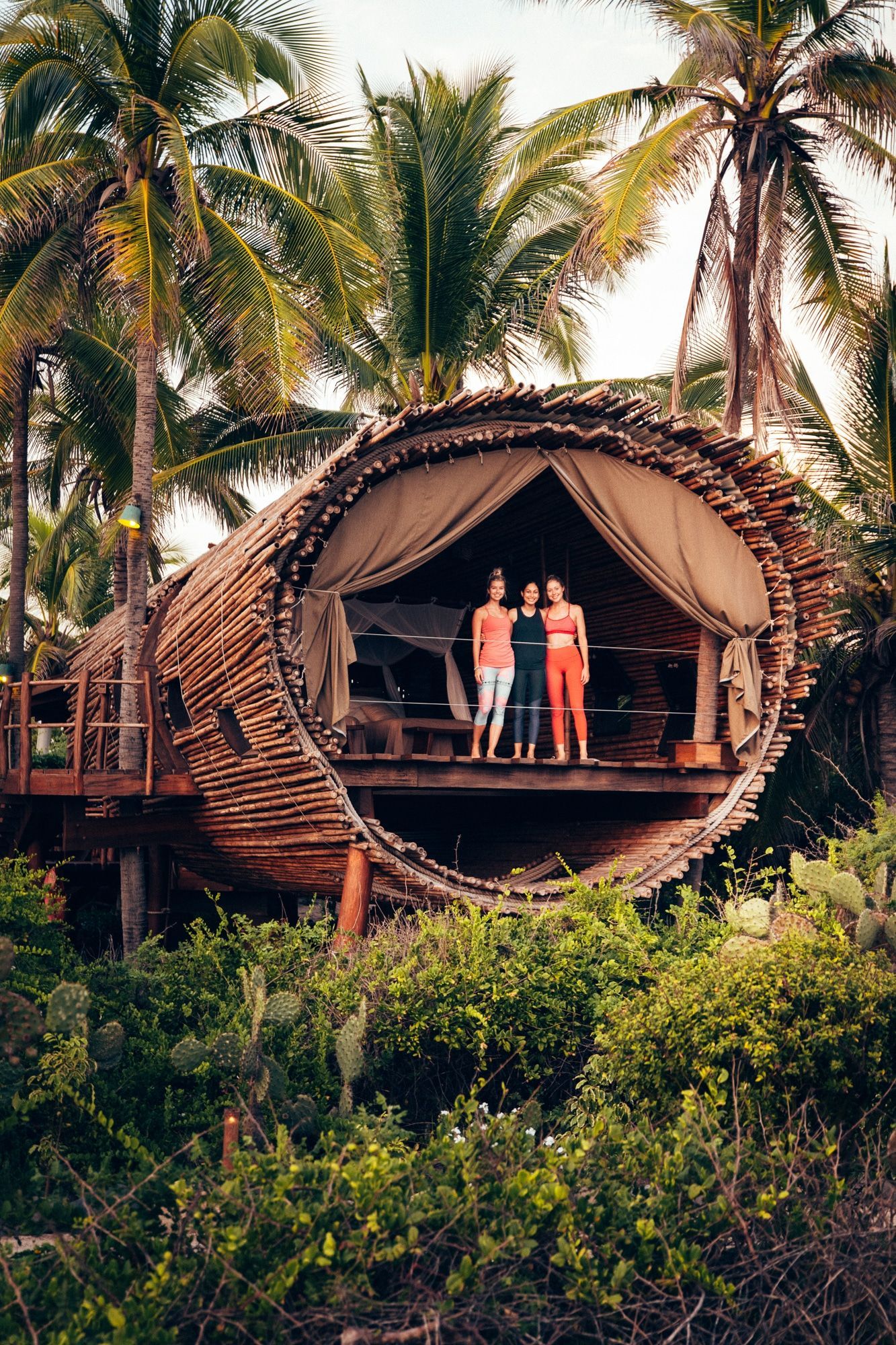 Two people standing on a balcony in a palm-thatched treehouse surrounded by tropical greenery