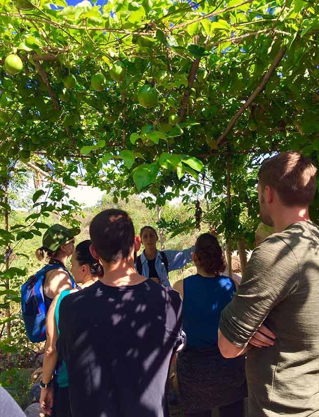 Group of people standing under a leafy tree outdoors, listening in a shaded gathering