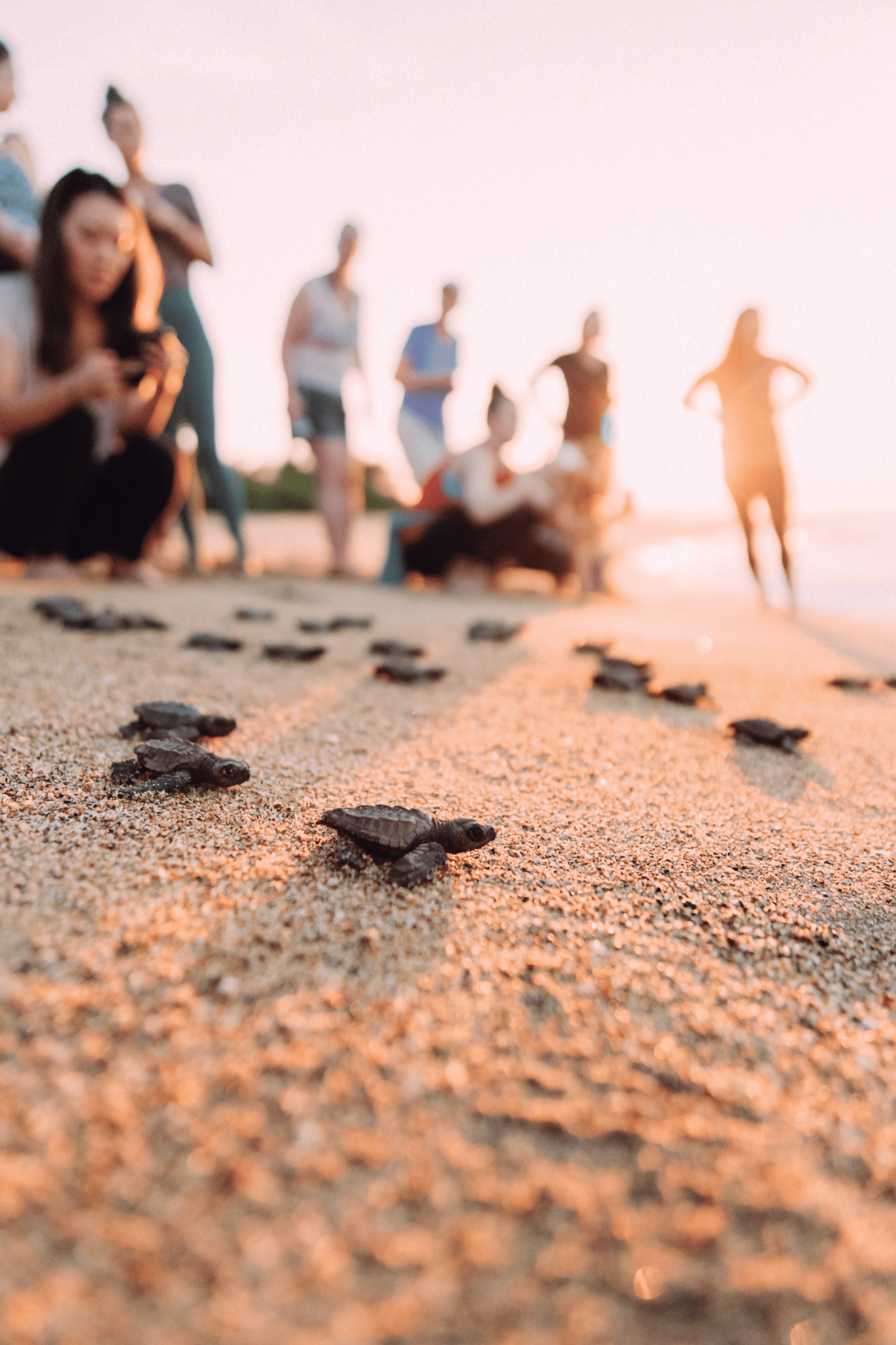Footprints in sand on a beach with blurred people in the background at sunset