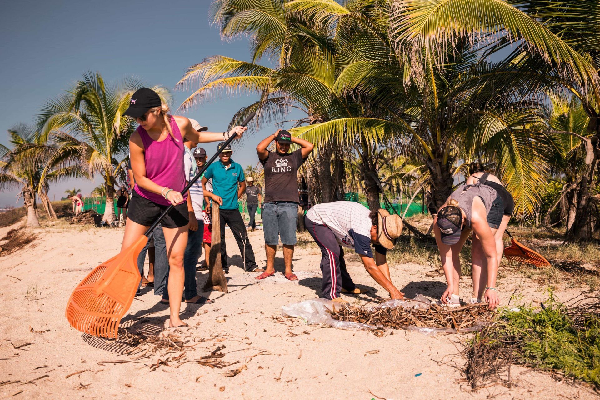 People cleaning trash on a sunny beach near palm trees