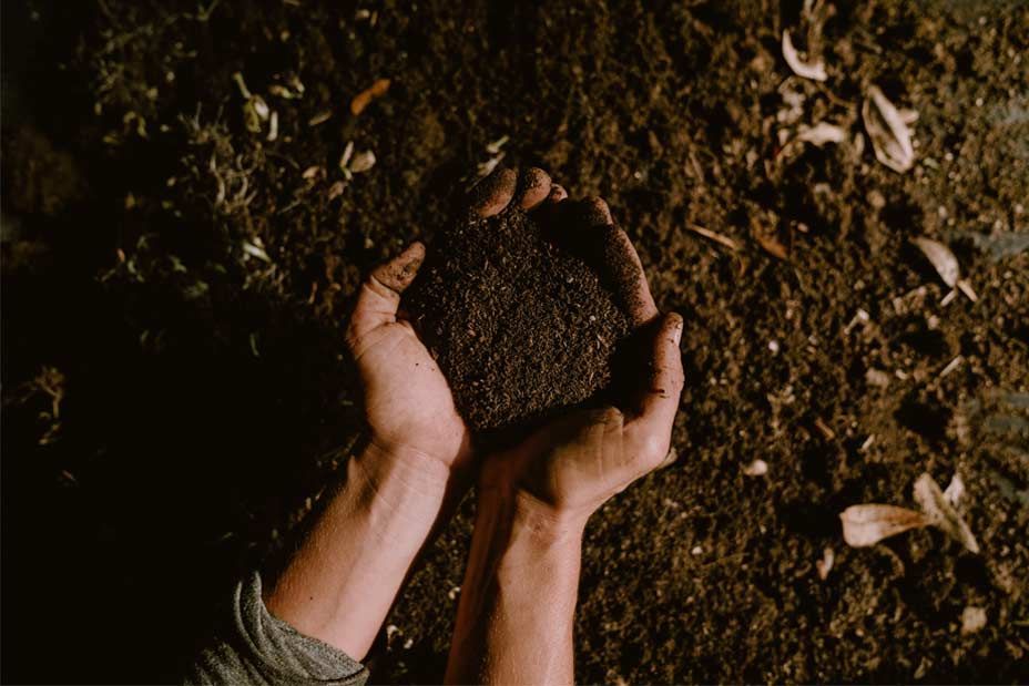 Hands holding a mound of dark soil over a leaf-strewn ground, warm light from above