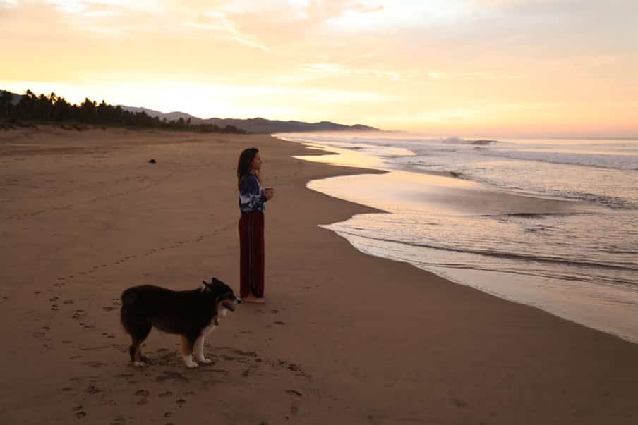 Person and dog on a sandy beach at sunset, with waves rolling in and warm orange sky.
