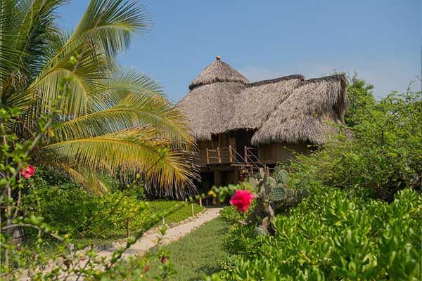 Tropical thatched hut surrounded by palm trees and lush greenery under a clear blue sky