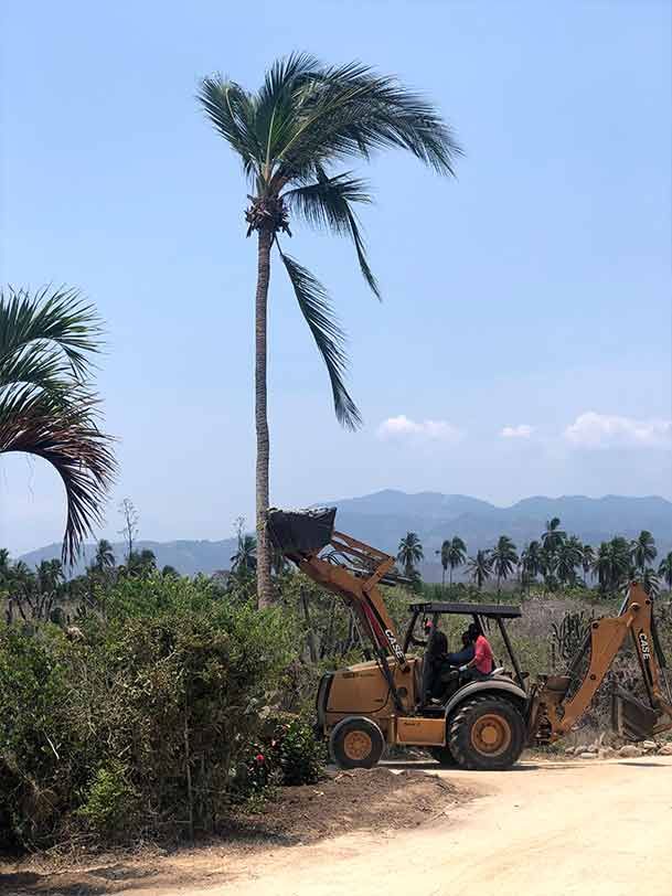 Backhoe clearing brush beside a dirt road with palm trees and mountains in the background