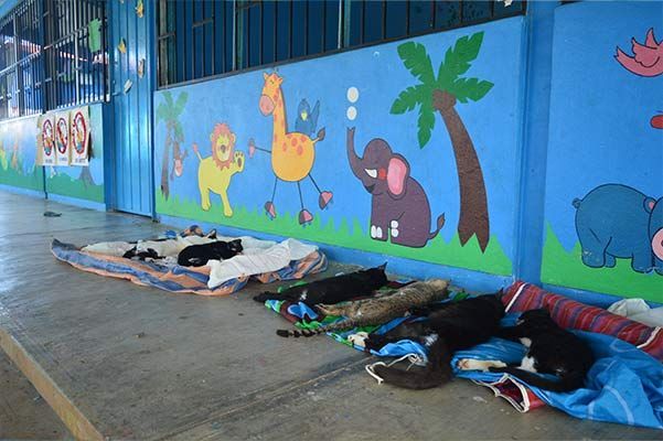 People sleeping on mats beside a bright mural in a covered walkway