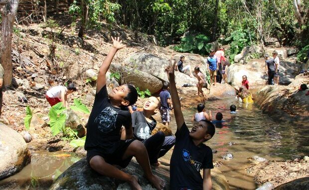 Children playing in a rocky stream, reaching up toward a tree branch in a forest setting