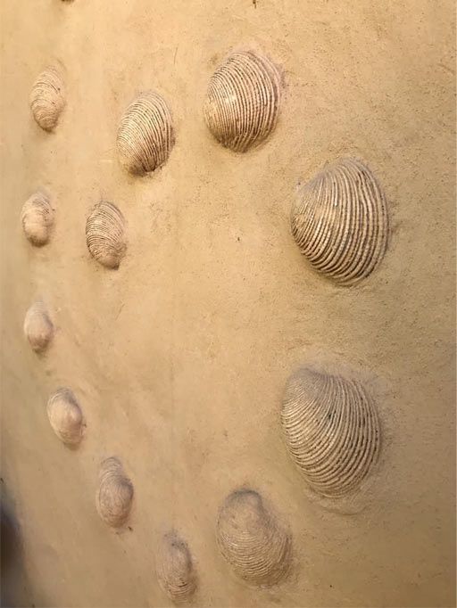 Circular sand ridges and footprints in tan desert sand