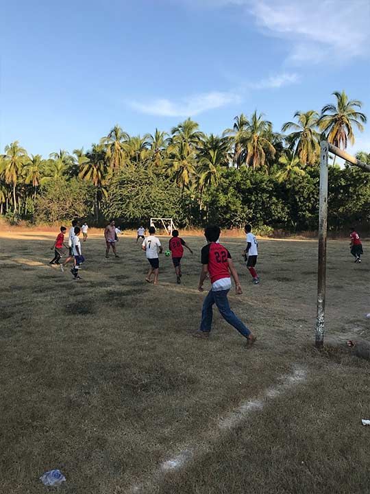 Children playing soccer on a grassy field near palm trees at sunset
