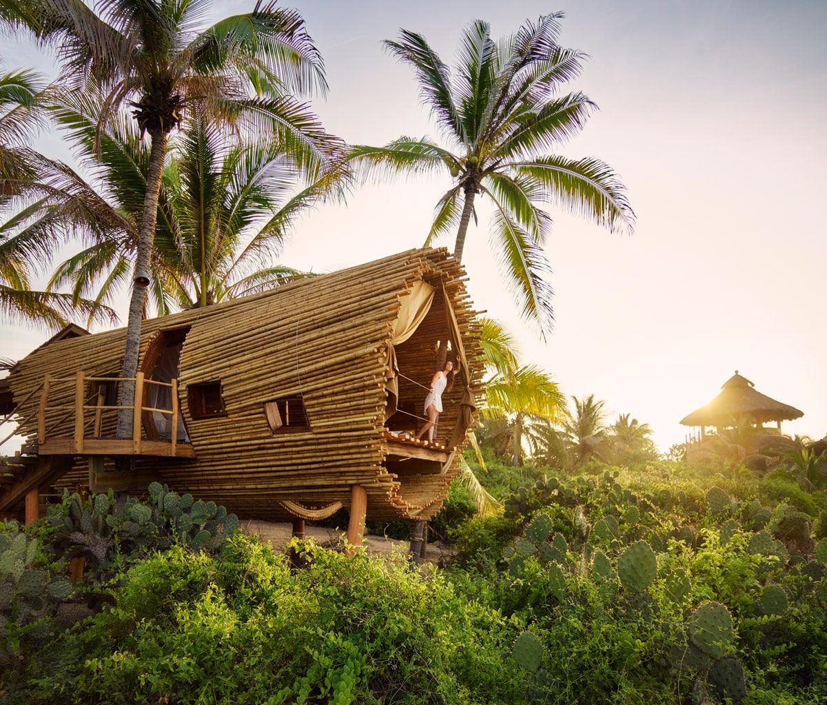 Thatched tropical huts among palm trees at sunset