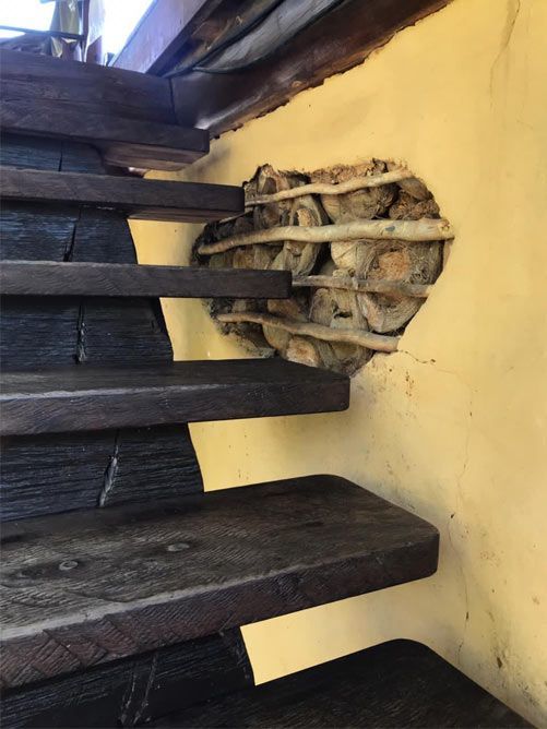 Dark wooden beams attached to a yellow wall around a small woven nest or basket-like opening