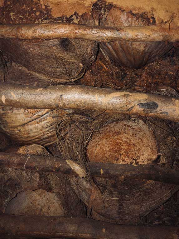 Close-up of brown and tan fibrous texture with layered organic strands and circular forms