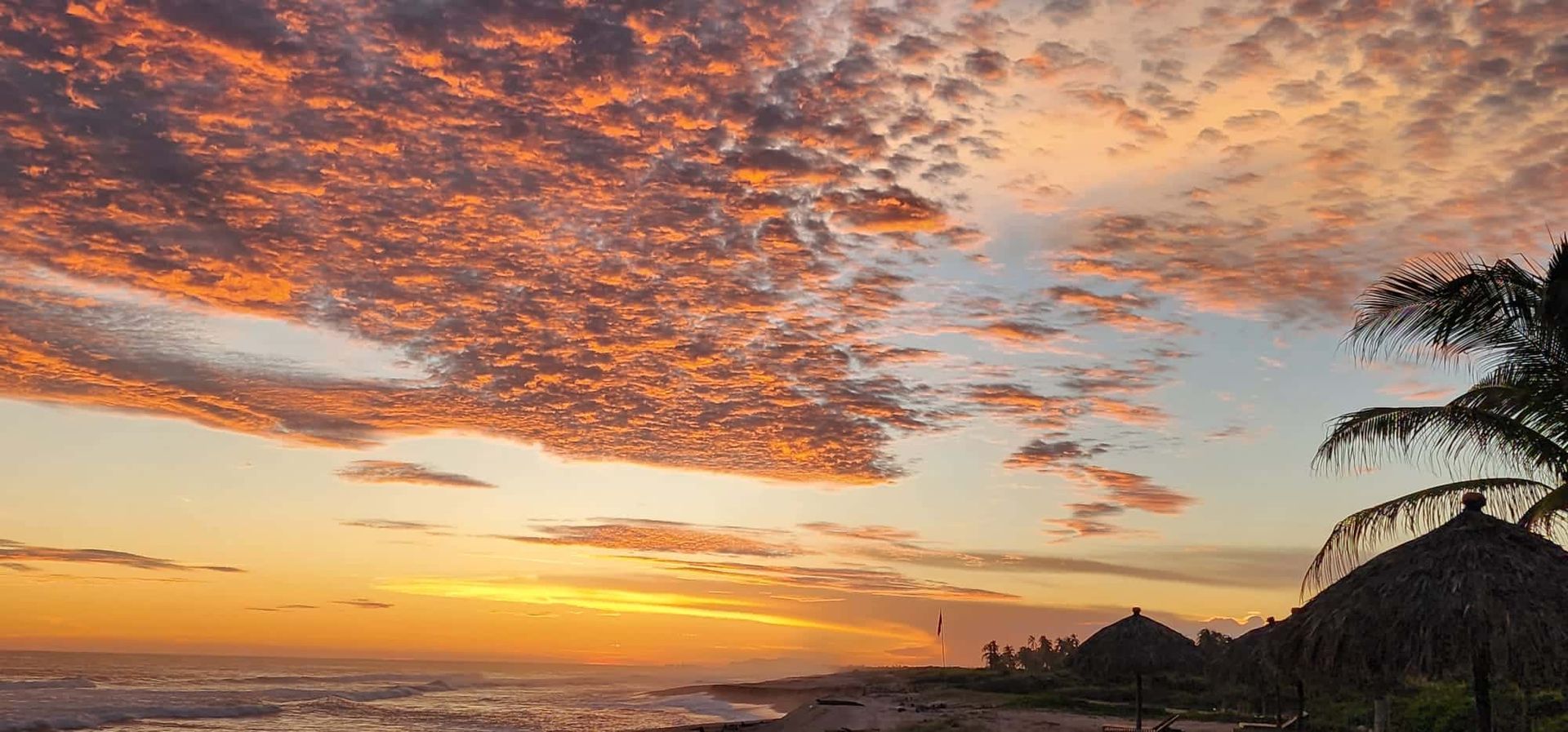 Sunset over a tropical beach with orange clouds, calm ocean, and palm trees silhouetted on the shore