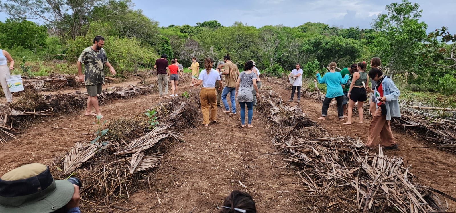 People walking along a muddy dirt path with cut logs, surrounded by dense green vegetation.
