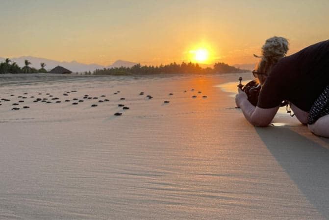 Person relaxing on a beach at sunset, with a glowing sun over calm water and scattered birds in the distance