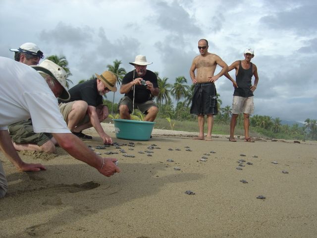 People kneeling on a sandy beach sort small shells or stones into a blue tub.