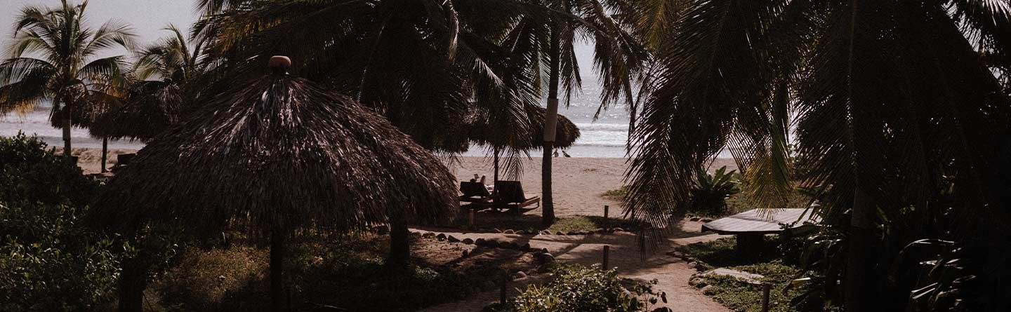 Palm trees framing a tropical beach path with lounge chairs and calm water in the distance