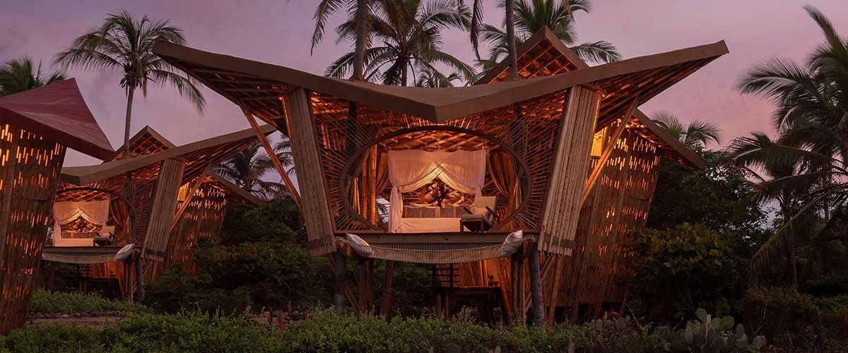 A tropical treehouse with warm lights at dusk, surrounded by palm trees and greenery.