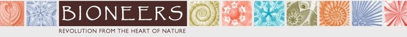 BIONEERS banner with colorful mosaic border and small red subtitle text on a white background