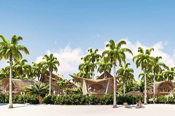 Tropical resort beach with palm trees, white sand, and shaded loungers under a blue sky