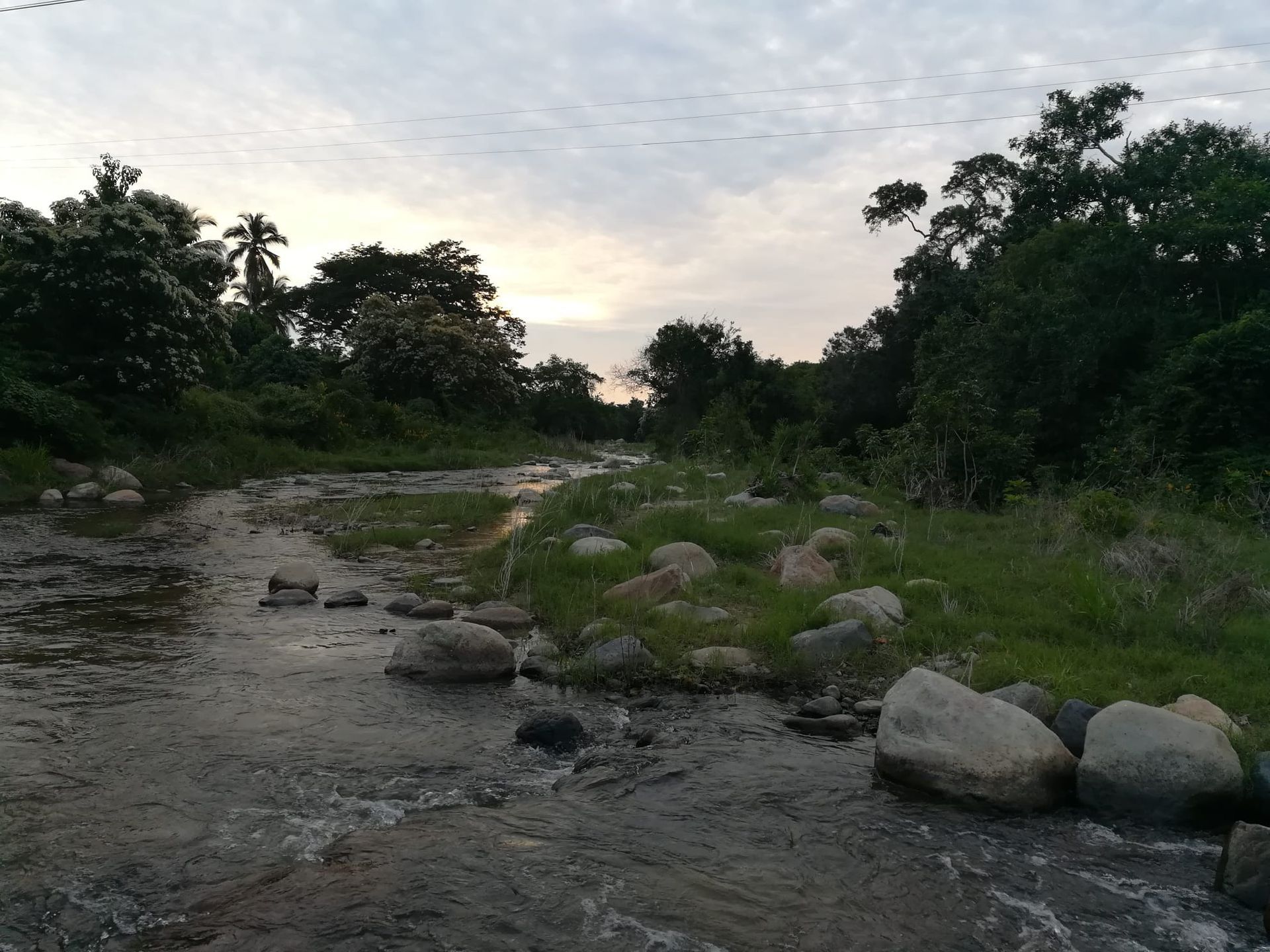 Rocky dirt path through a lush green forest at dusk, with cloudy sky overhead.