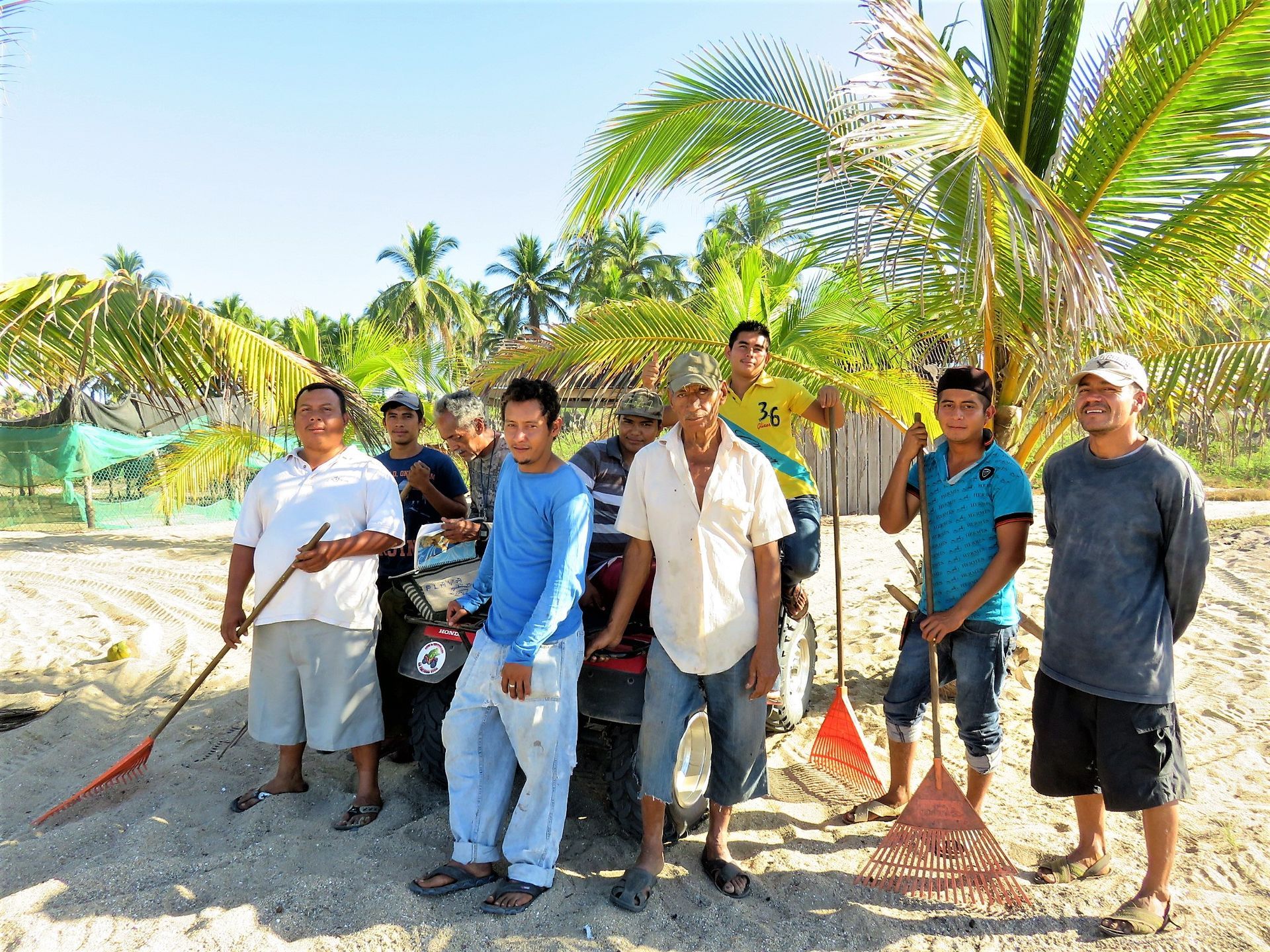 Six people holding tools stand on a sandy path among palm trees and tropical plants.