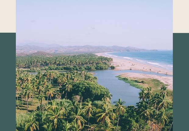 An aerial view of a river running through a lush green forest next to a beach.