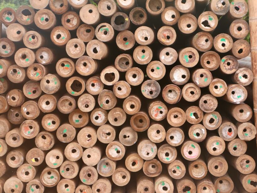 Rows of round tan wooden beads with small green and pink markings filling the frame
