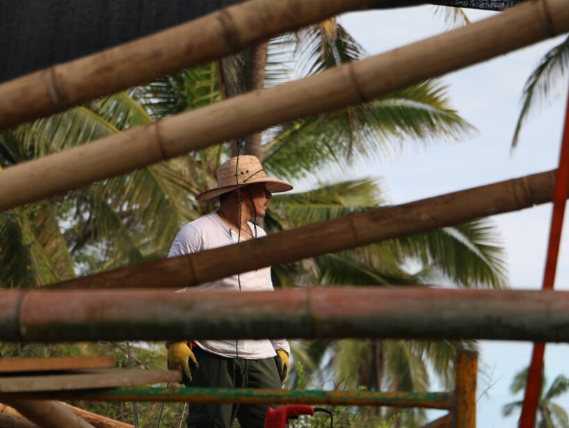 Person in a straw hat standing among palm trees and wooden beams outdoors