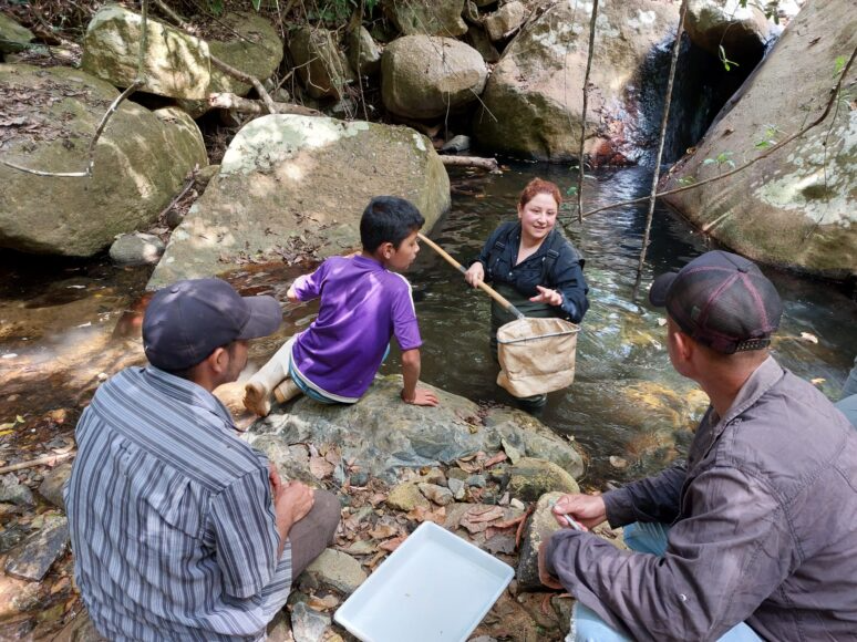 People seated by a rocky stream holding a net, catching or studying small aquatic life