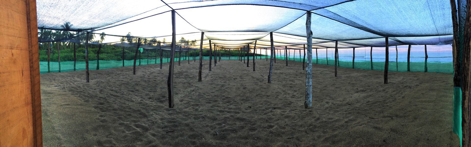 Empty outdoor netted structure with poles and a shade canopy over bare ground