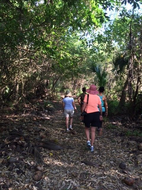 Three hikers walking along a wooded trail under dense green trees