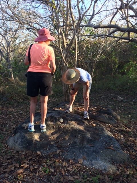 Two hikers examine a rock in a wooded area, one standing and one bending over.