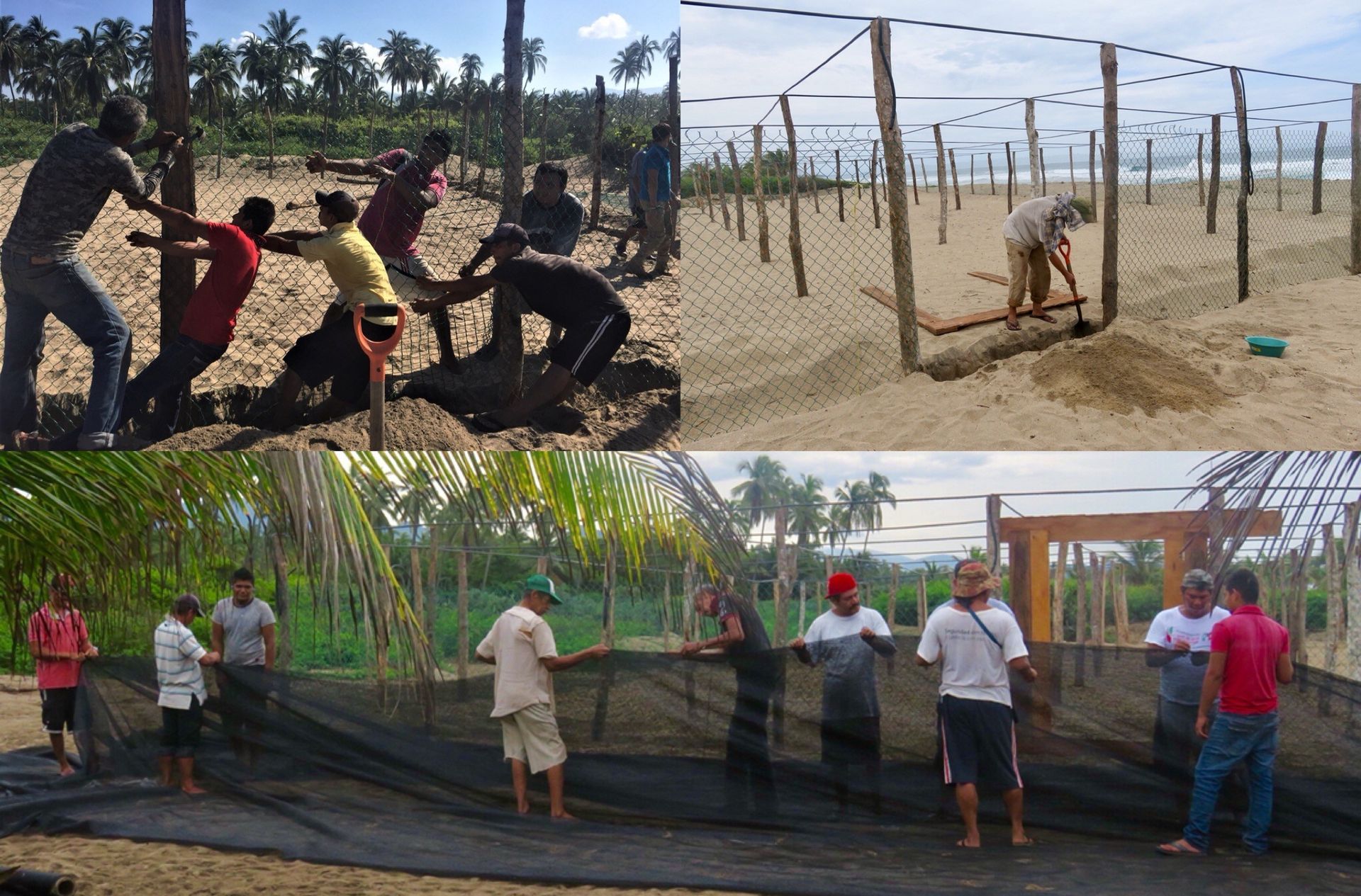 Volunteers stretch black netting between posts in a sunny field and a shaded garden area.