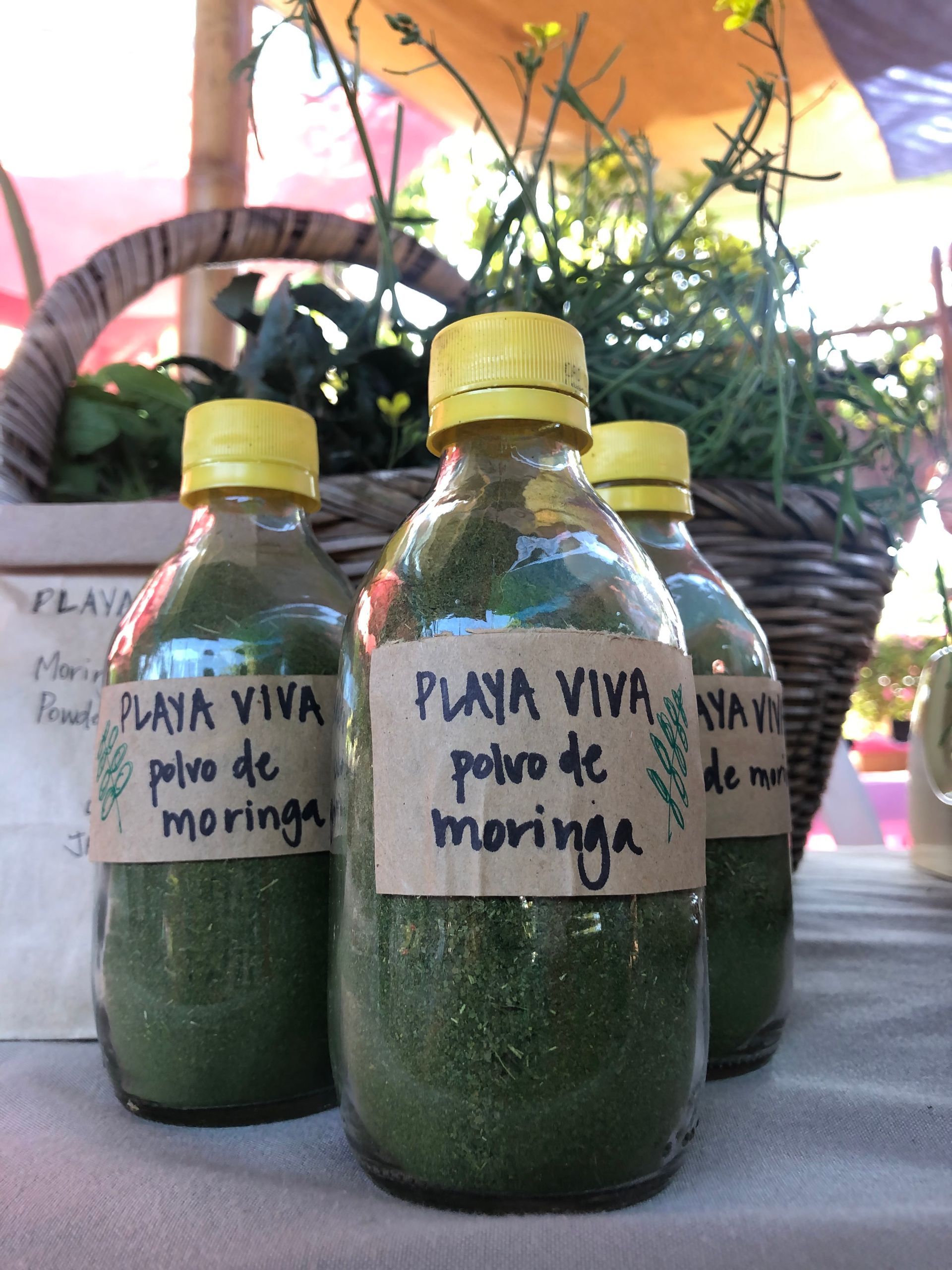 Three green bottles labeled 