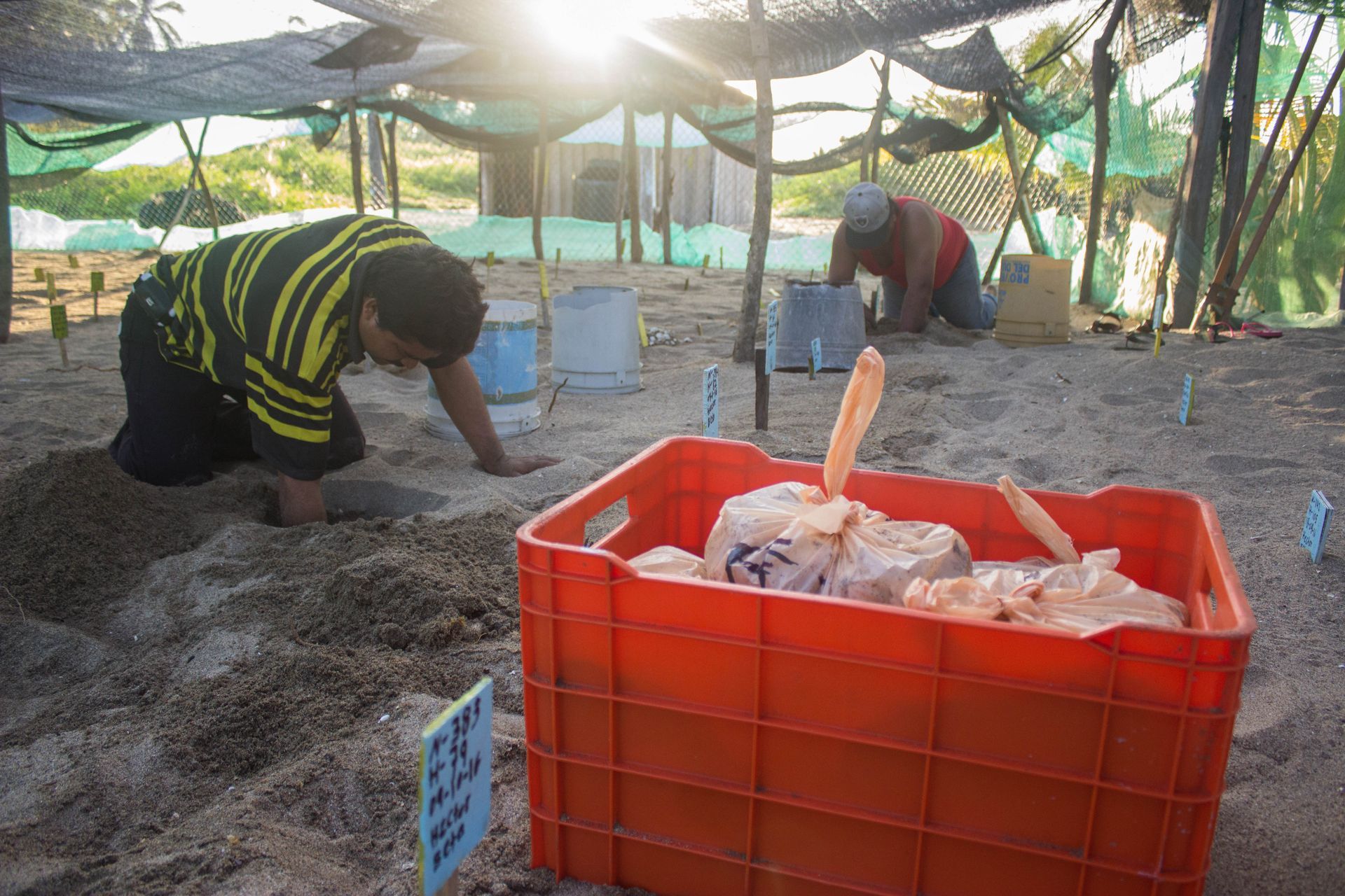 People crouch sorting goods in an outdoor market beside a red crate under netted shade.