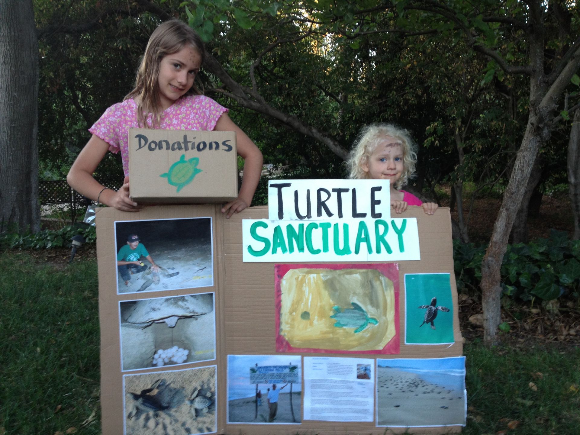 Two children standing beside a cardboard turtle sanctuary display with photos and handwritten signs