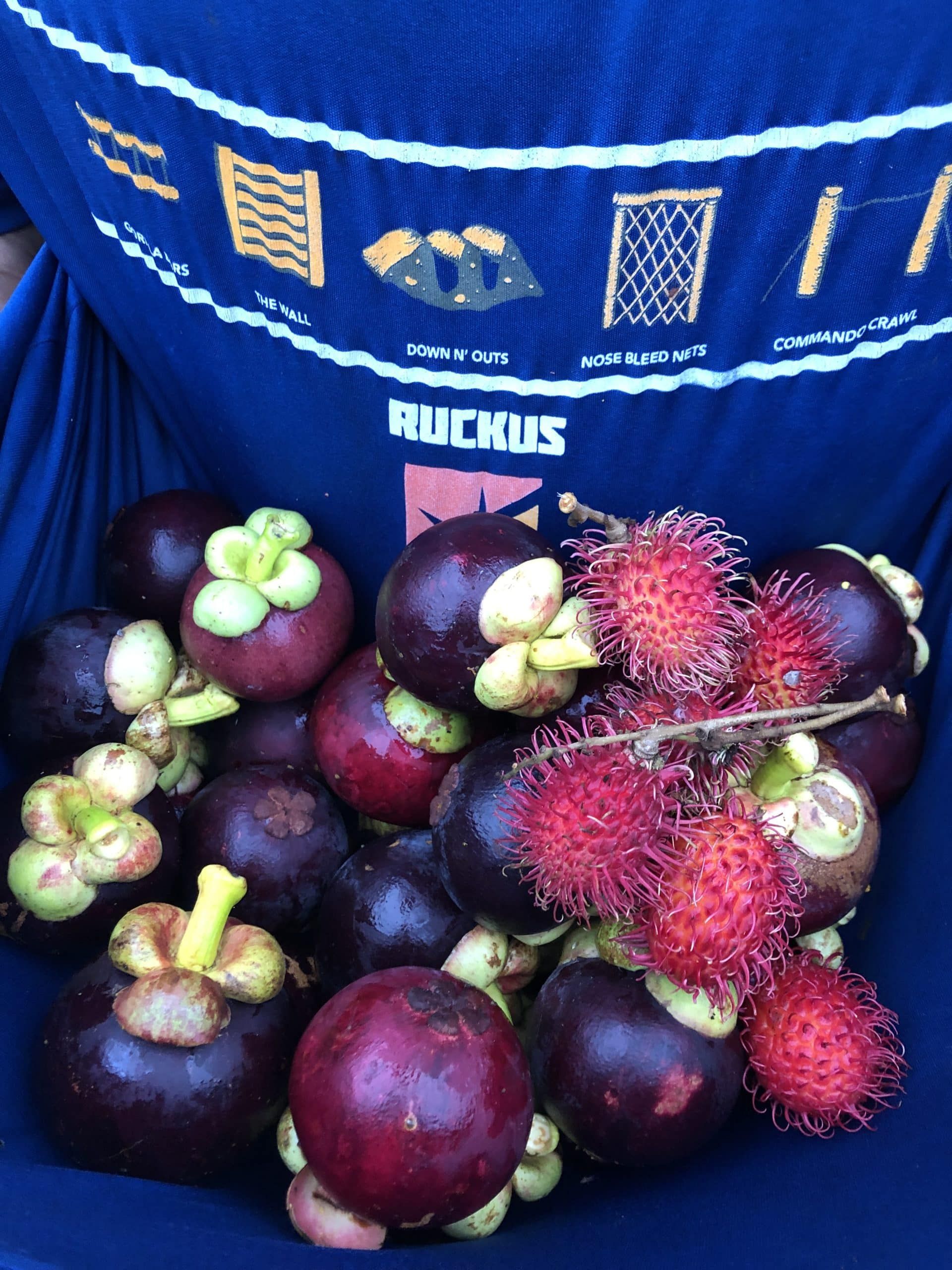 A pile of purple mangosteens and red rambutans in front of a blue bag with woven patterns.