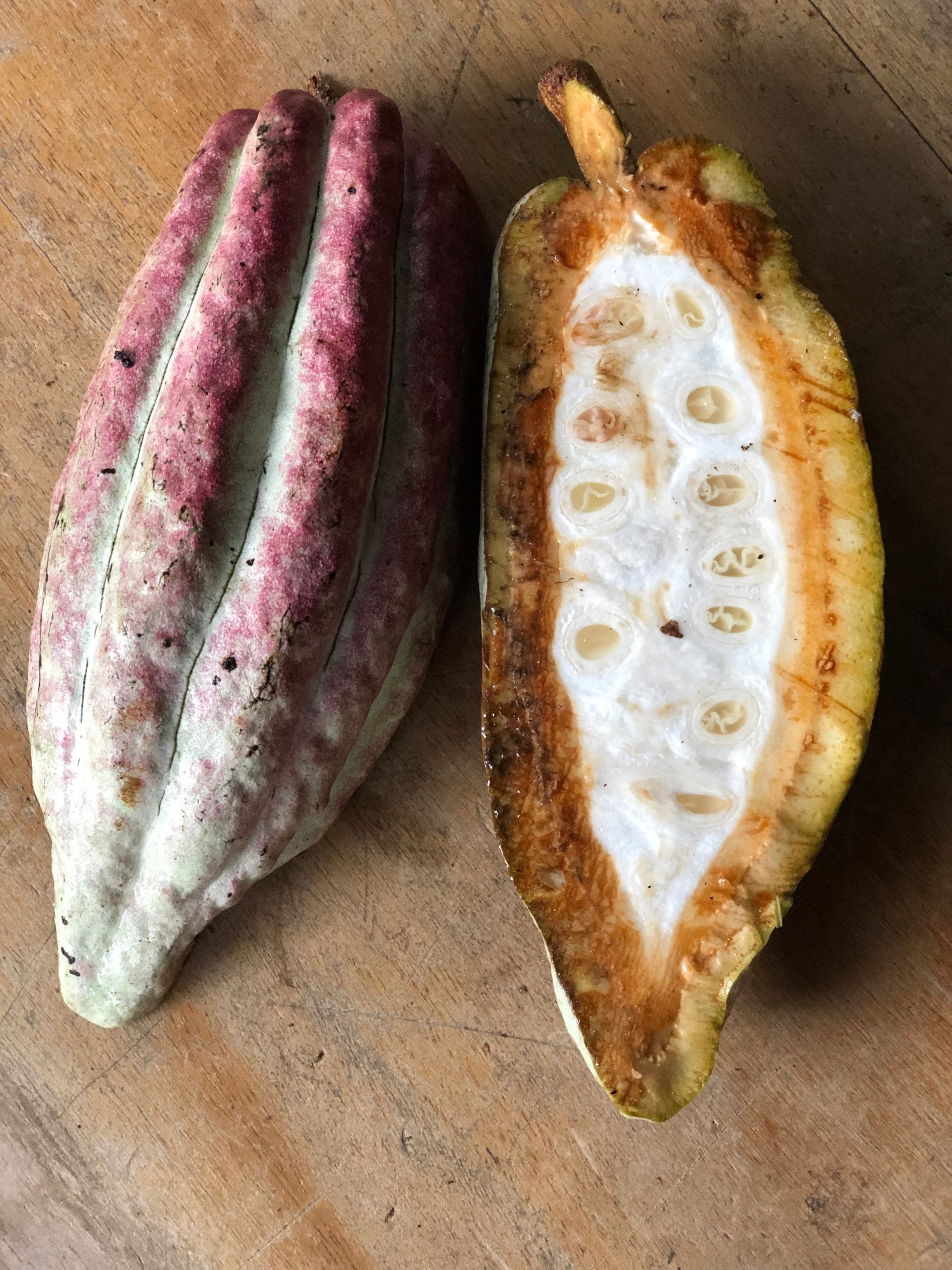 Two open cacao pods on a wooden surface, showing white pulp and pink-purple outer shells