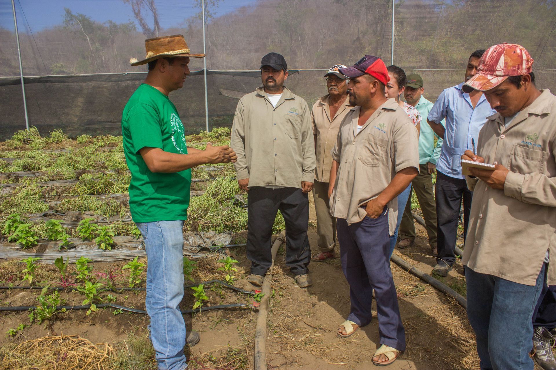 A man in a green shirt explains something to a group of people in a garden field under bright sunlight.