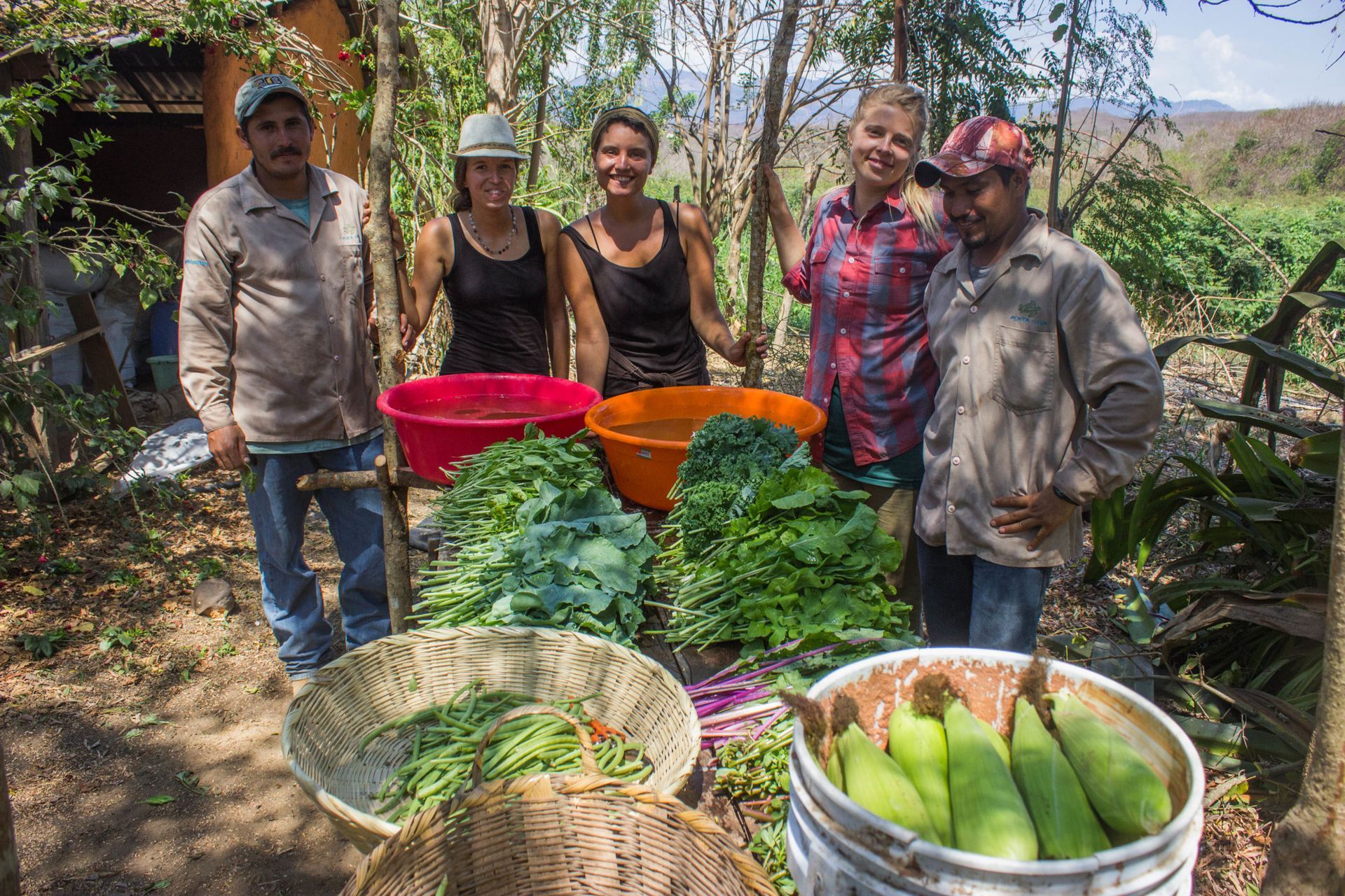 Five people stand behind baskets of fresh vegetables in a garden farm setting.