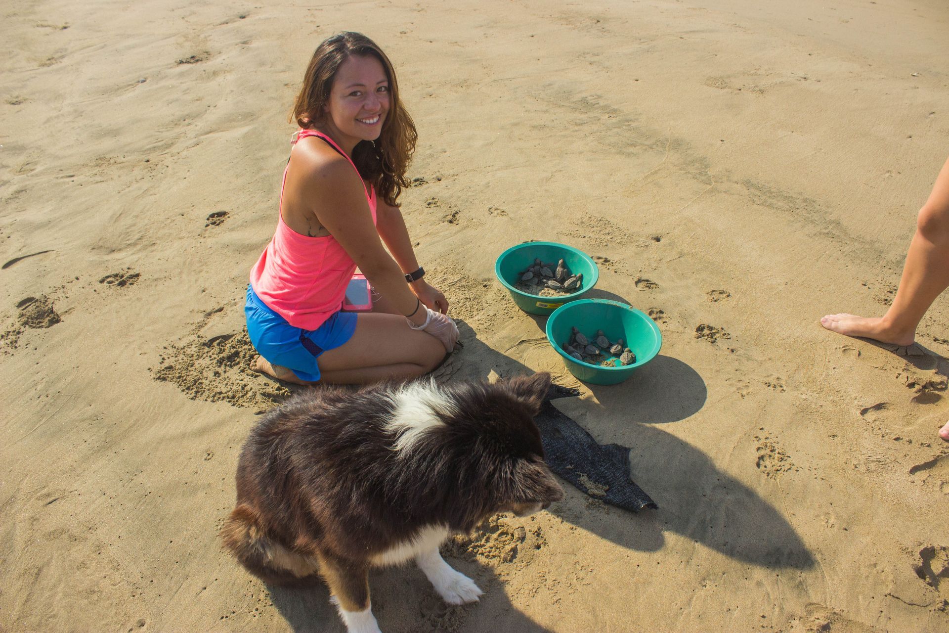 Girl sitting on a sandy beach with a dog and two green bowls nearby