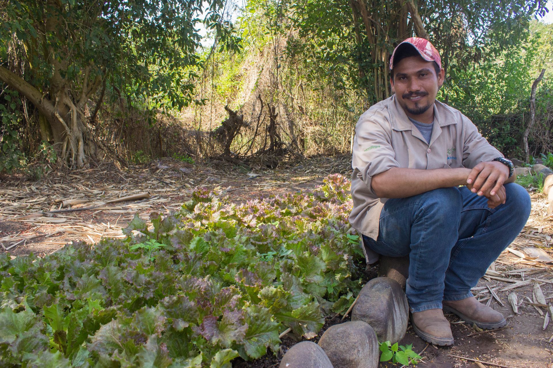 Person crouching beside plants in a sunny wooded area, wearing a cap, tan shirt, and jeans.