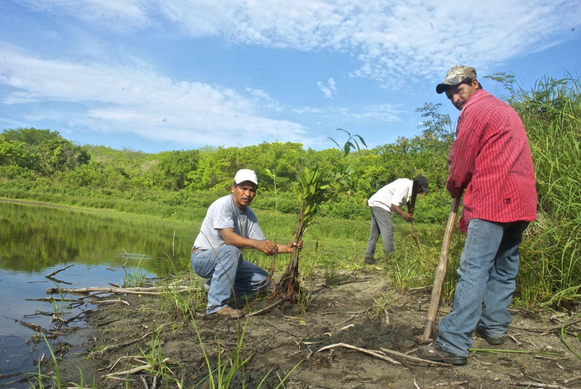 Three people clearing brush beside a small pond in a green field under a blue sky