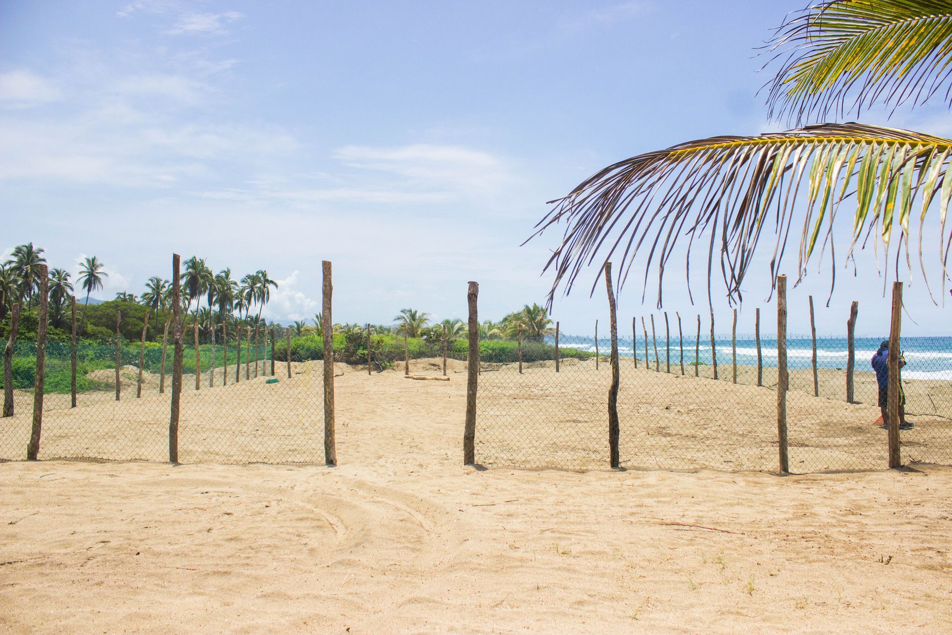 Sandy beach with palm trees and wooden posts under a bright blue sky