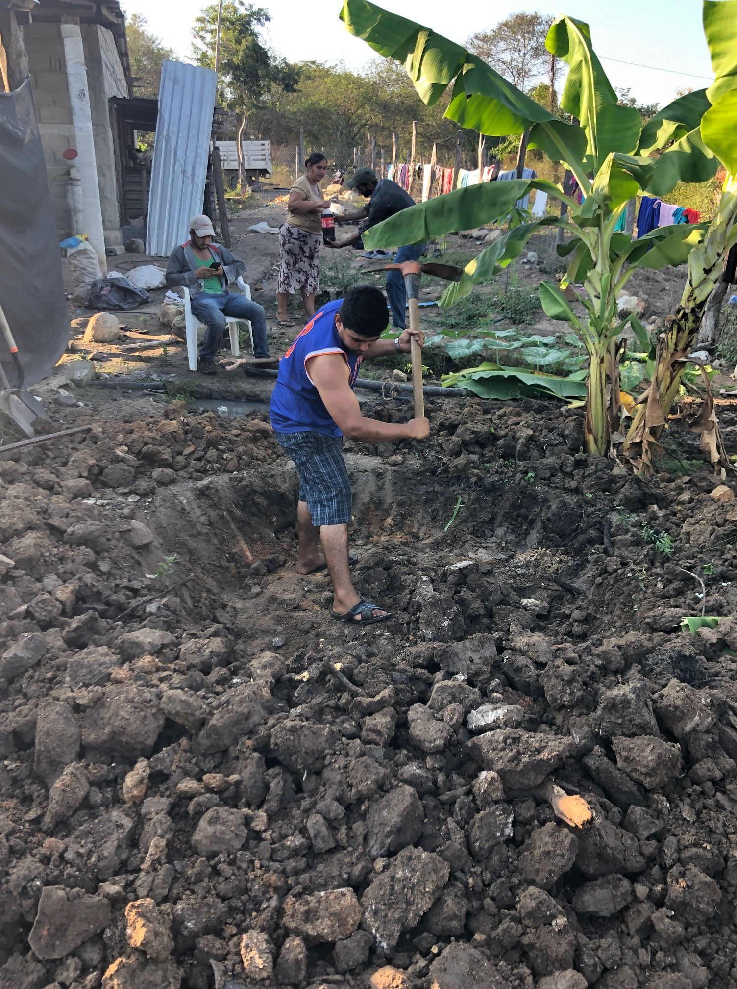 People digging and clearing soil in a muddy garden with banana plants and a corrugated metal fence